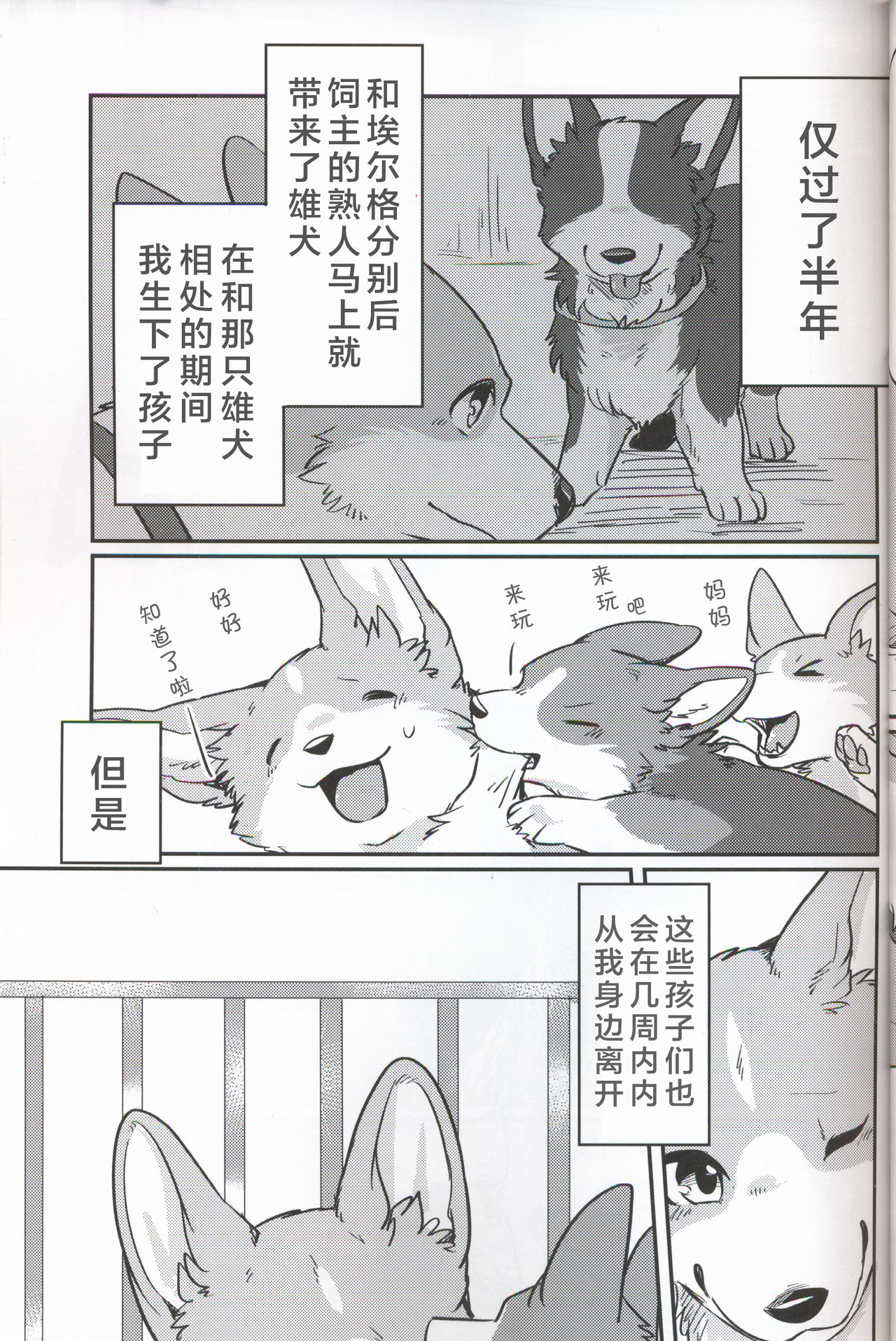 (関西!けもケット7) [回転ParaDOGs (奈賀つくね)] 嘘つきたちの『 』 [中国翻訳]