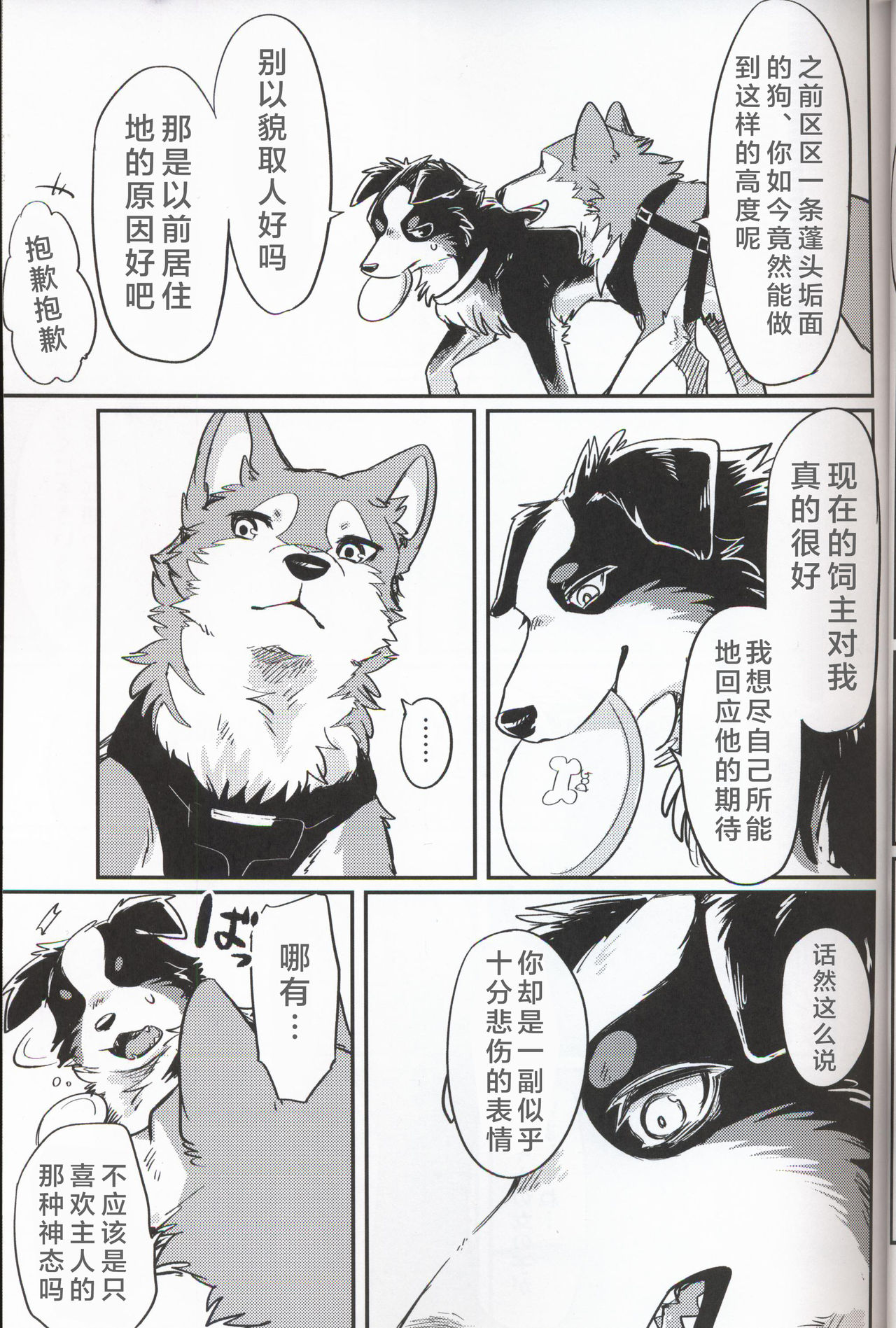 (関西!けもケット7) [回転ParaDOGs (奈賀つくね)] 嘘つきたちの『 』 [中国翻訳]