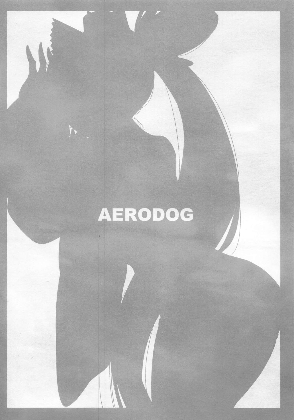 (C95) [AERODOG (inu)] 愛犬♥牛若丸 (Fate/Grand Order)