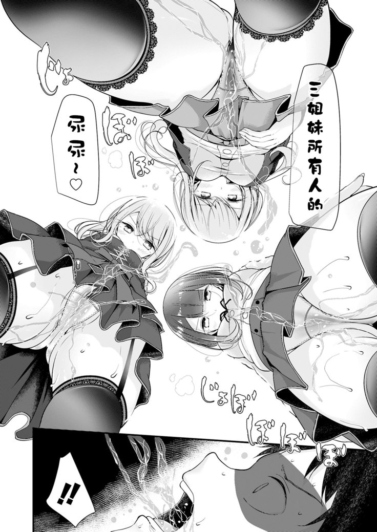 ペットまたは奴隷暦家の