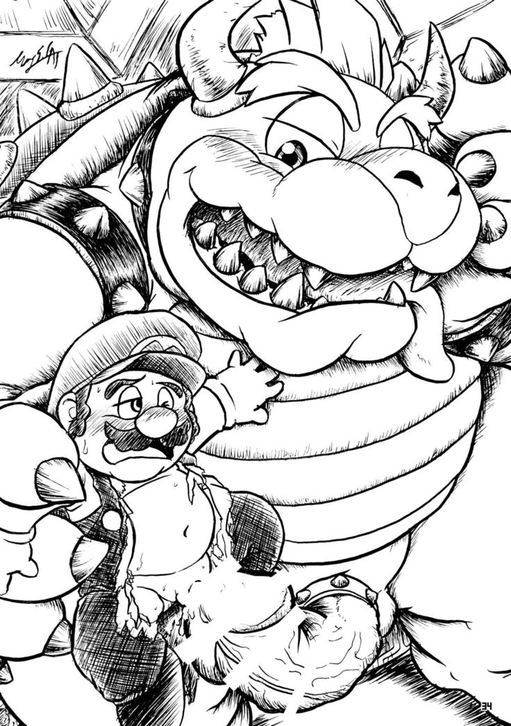 カメノオカシラ