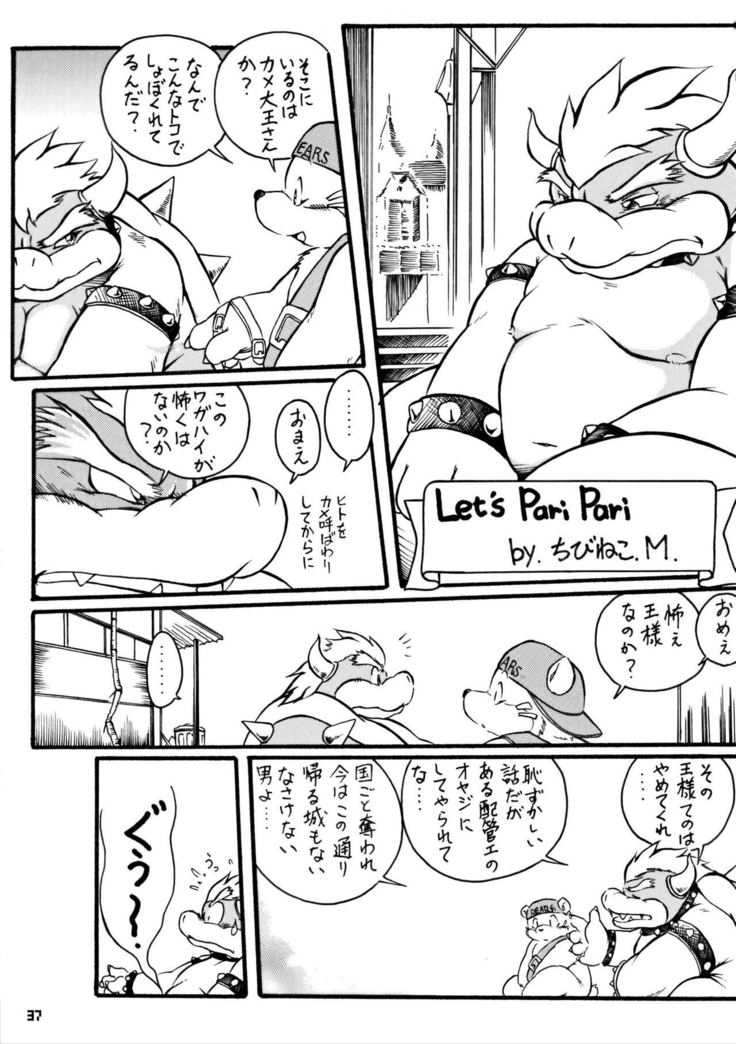 カメノオカシラ