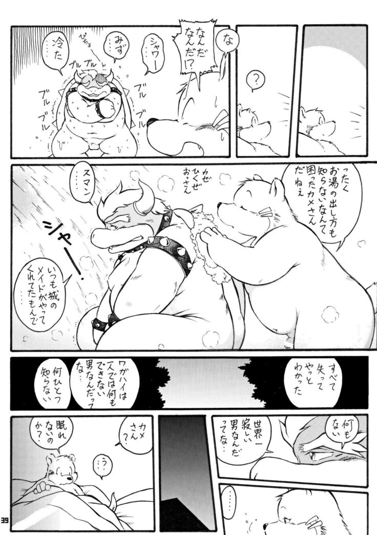 カメノオカシラ