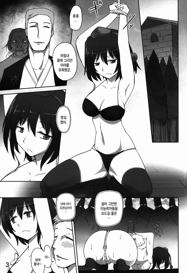 ケイコウトウヨ