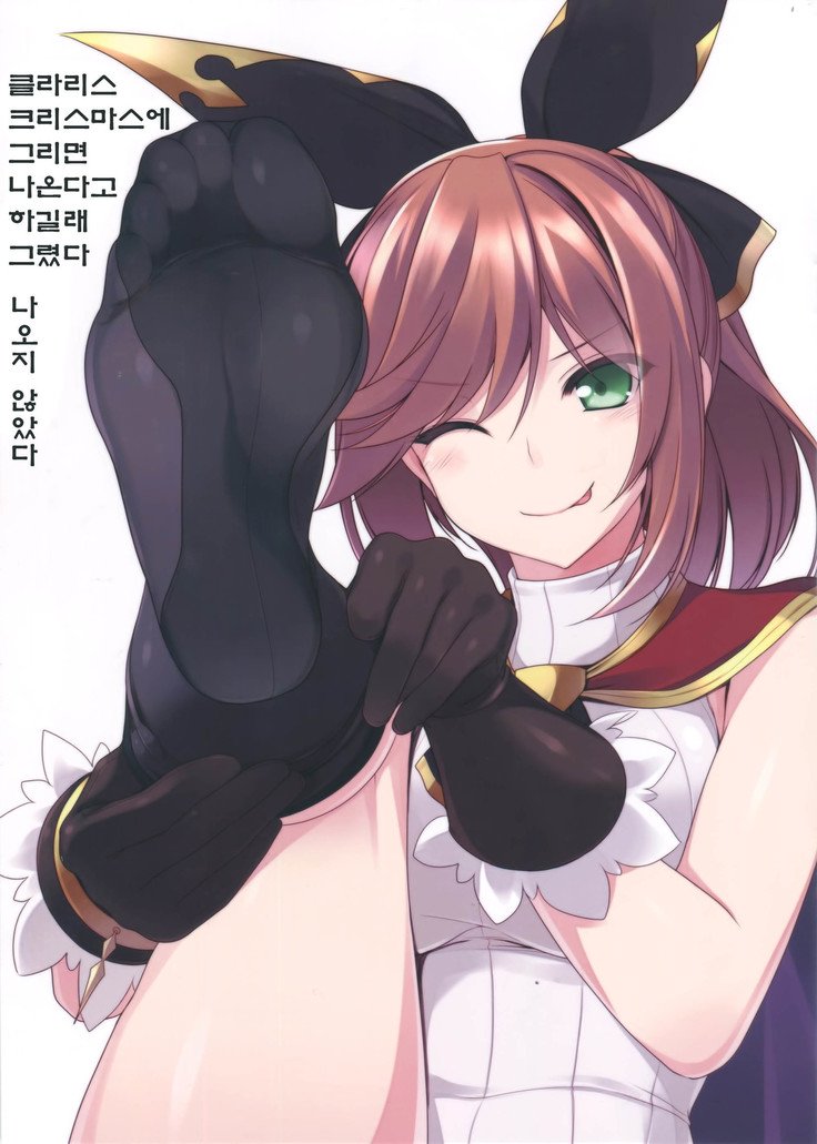 グランブルーのフェチボン| 그랑블루의야한책