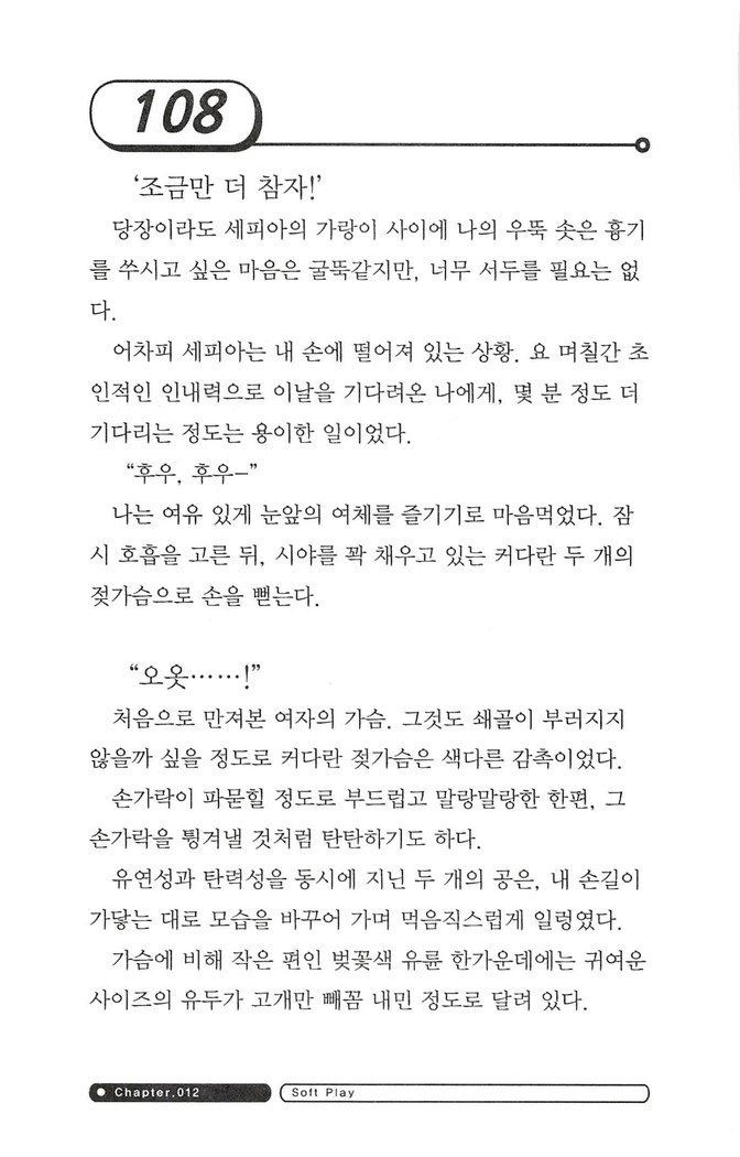 최면게임 - 타락하는 공주기사 최면게임 - 타락하는 공주기사