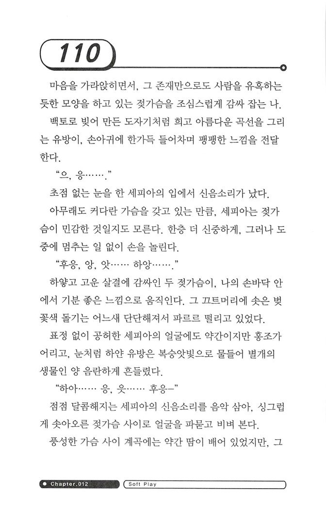 최면게임 - 타락하는 공주기사 최면게임 - 타락하는 공주기사