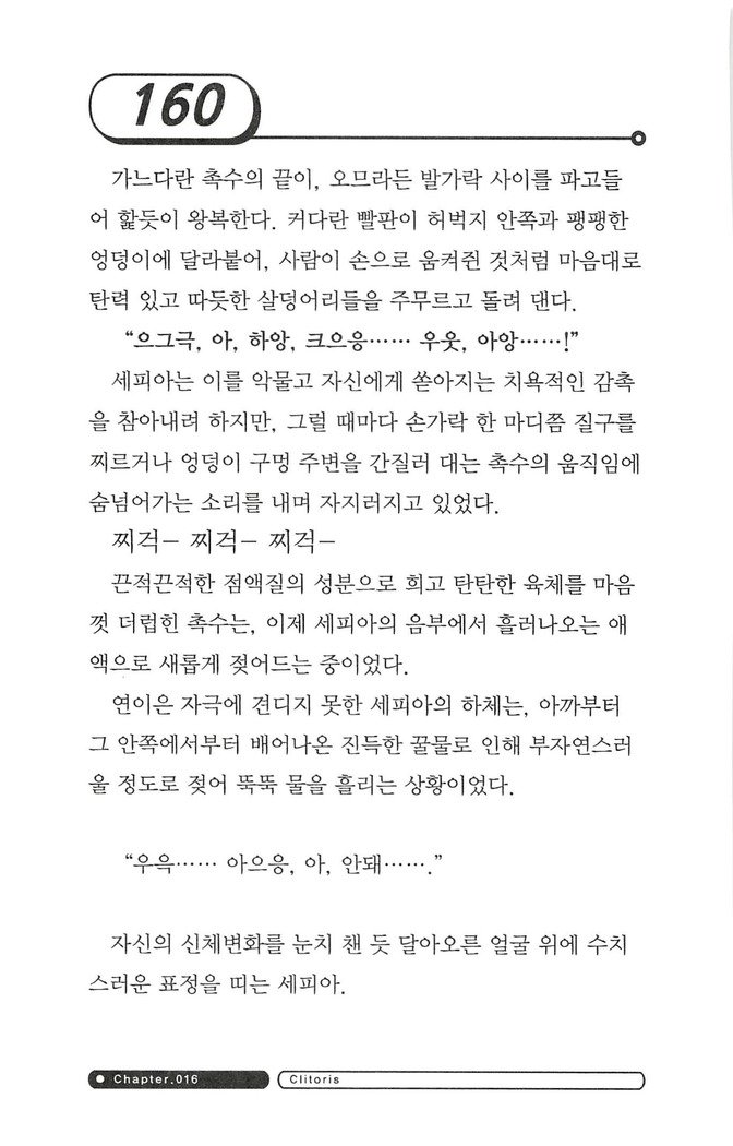 최면게임 - 타락하는 공주기사 최면게임 - 타락하는 공주기사