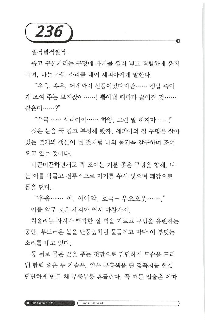 최면게임 - 타락하는 공주기사 최면게임 - 타락하는 공주기사