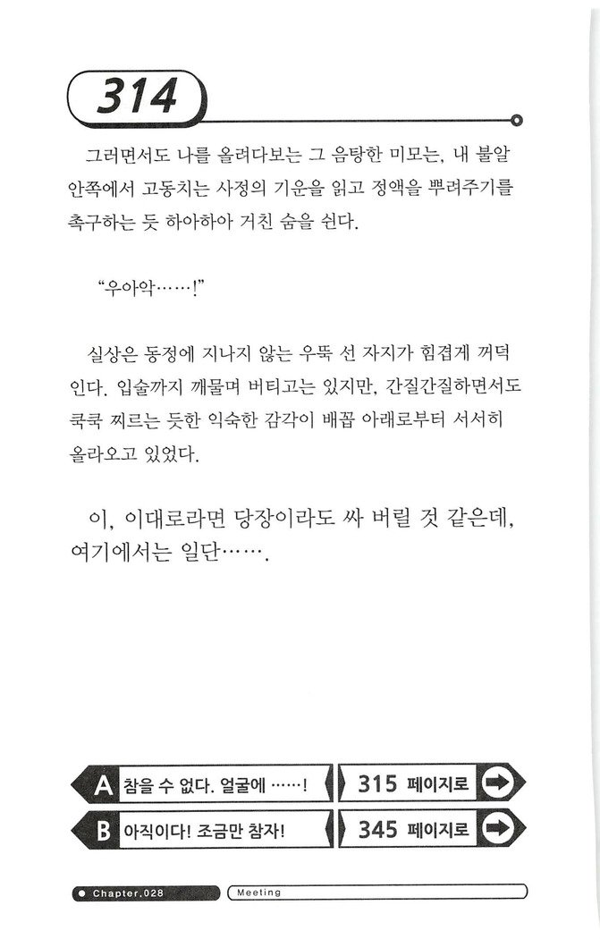 최면게임 - 타락하는 공주기사 최면게임 - 타락하는 공주기사
