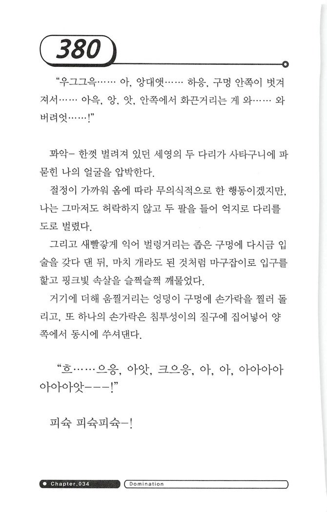 최면게임 - 타락하는 공주기사 최면게임 - 타락하는 공주기사