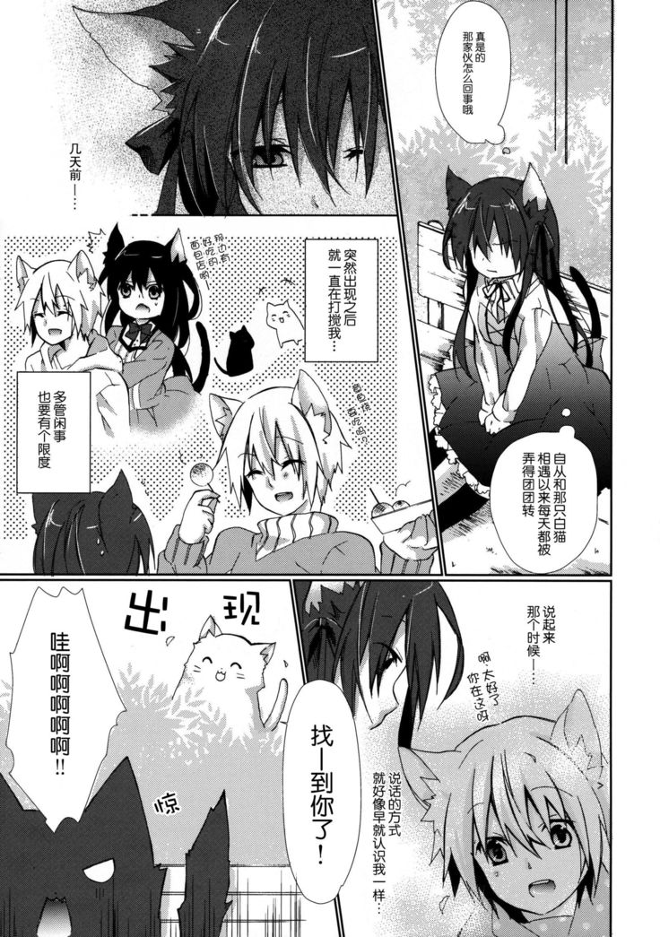 ひとりぼっちの黒猫さん