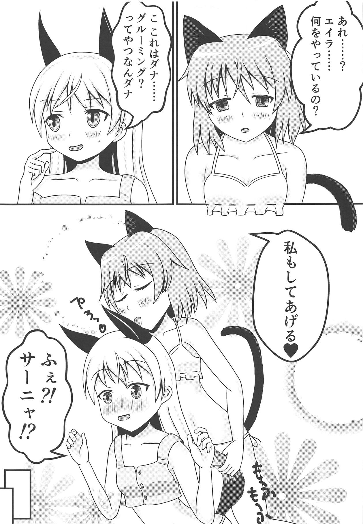 (C95) [もふもふりりぃ (猫狐)] 猫と狐の甘い夢 (ストライクウィッチーズ)