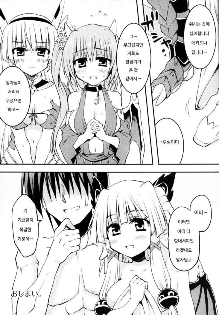 竜の姫は初行記