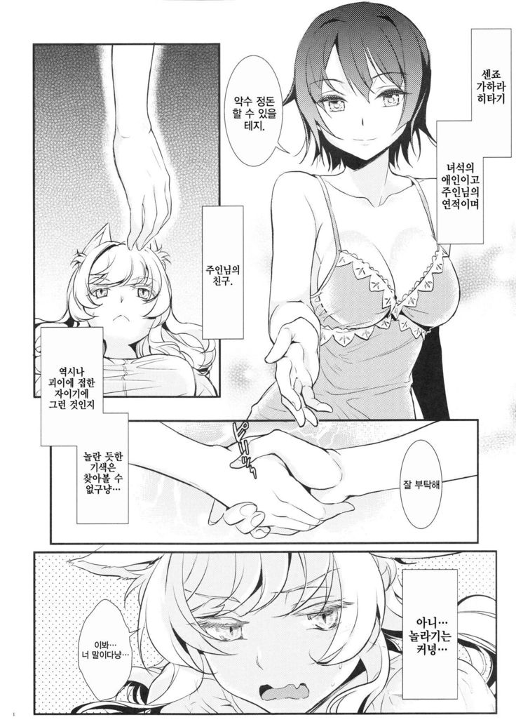 猫どらく| 고양이도락