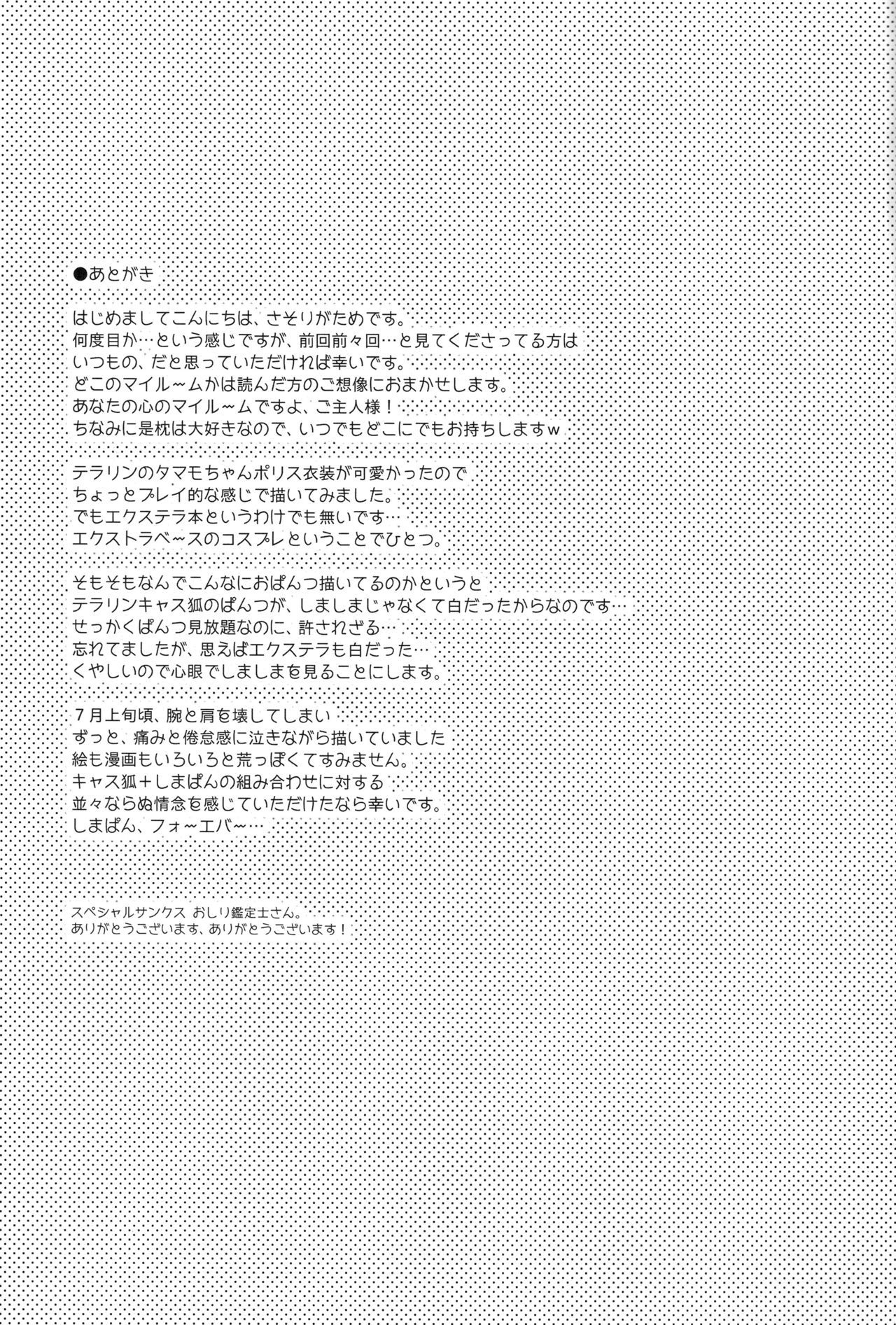 (C94) [Dragon Kitchen (さそりがため)] 俺とタマモとマイルーム3 (Fate/Extra) [中国翻訳]