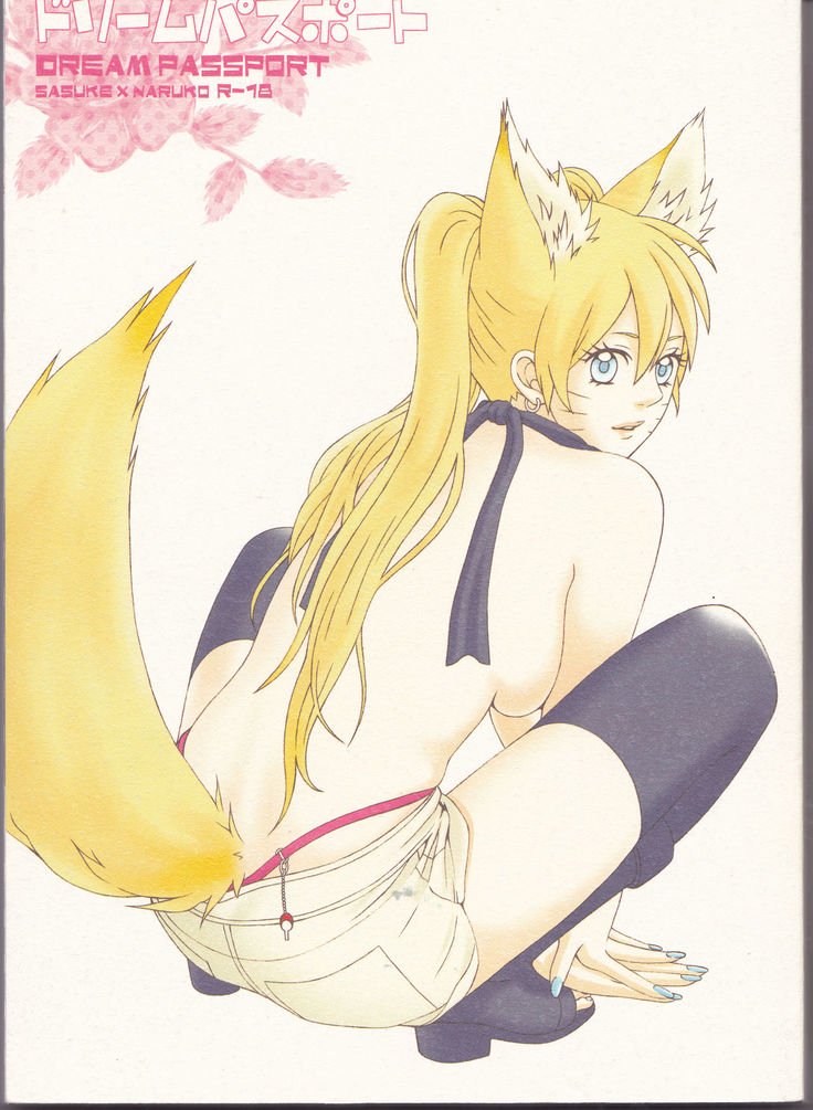 ドリームパスポートパート1