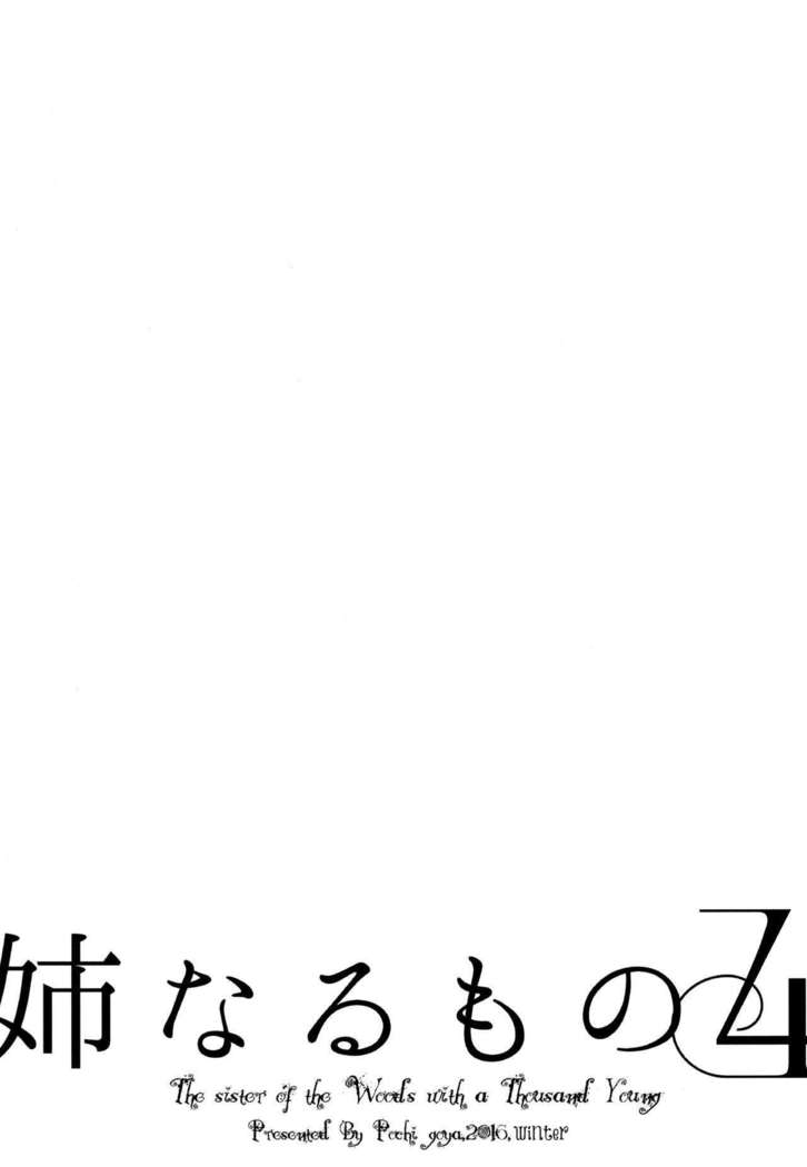 姉なるもの1 |姉なるもの全集1