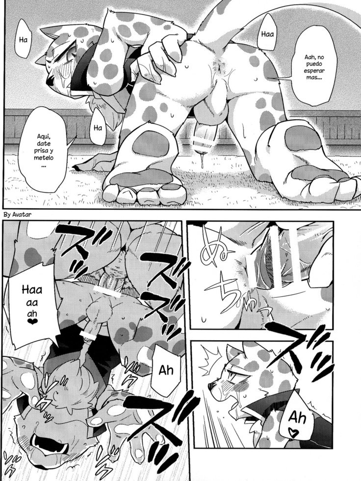 トリックライダー