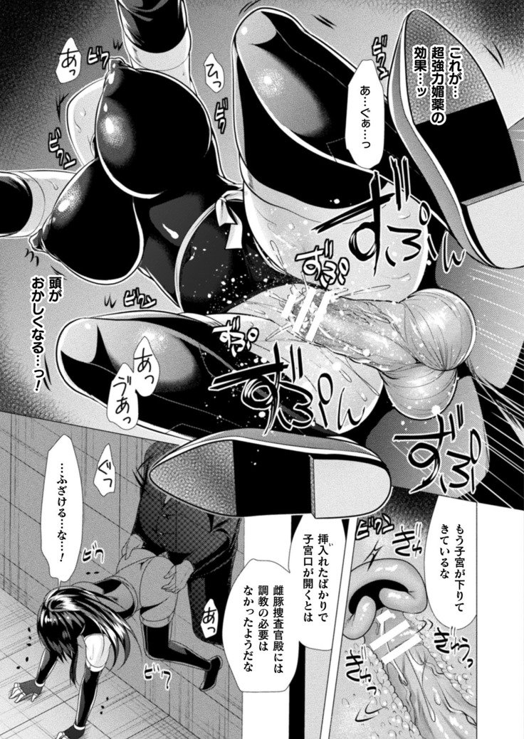 2Dドリームマガジン2019-02Vol。 104