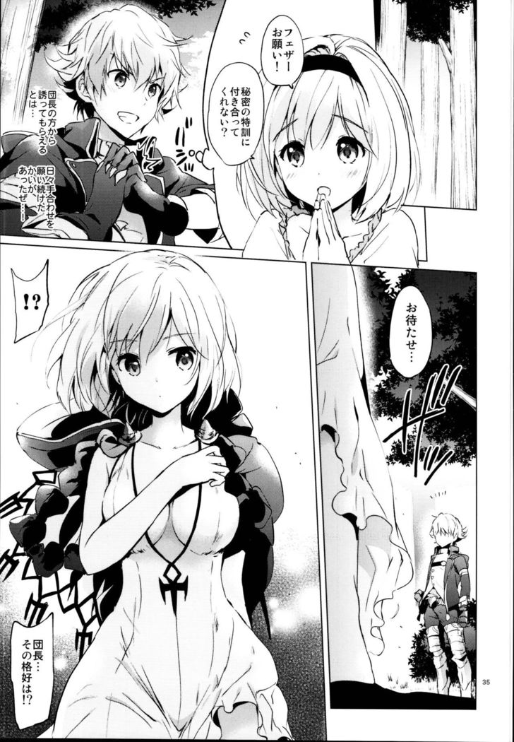 ジータちゃんのレナイバトルなひびそうしゅへん
