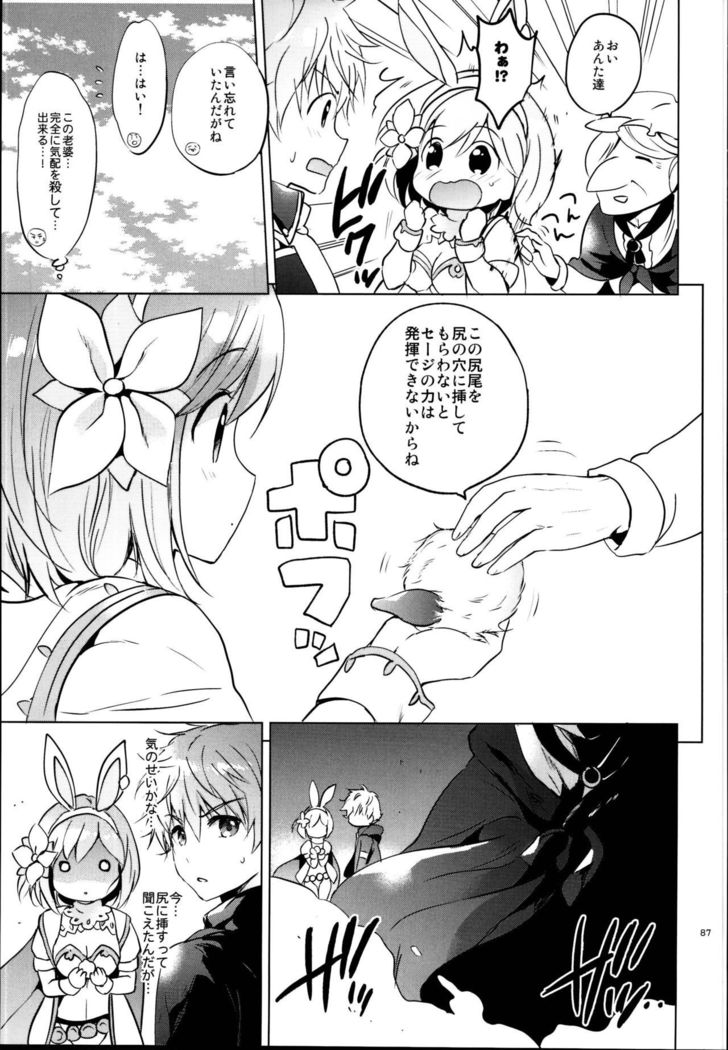 ジータちゃんのレナイバトルなひびそうしゅへん