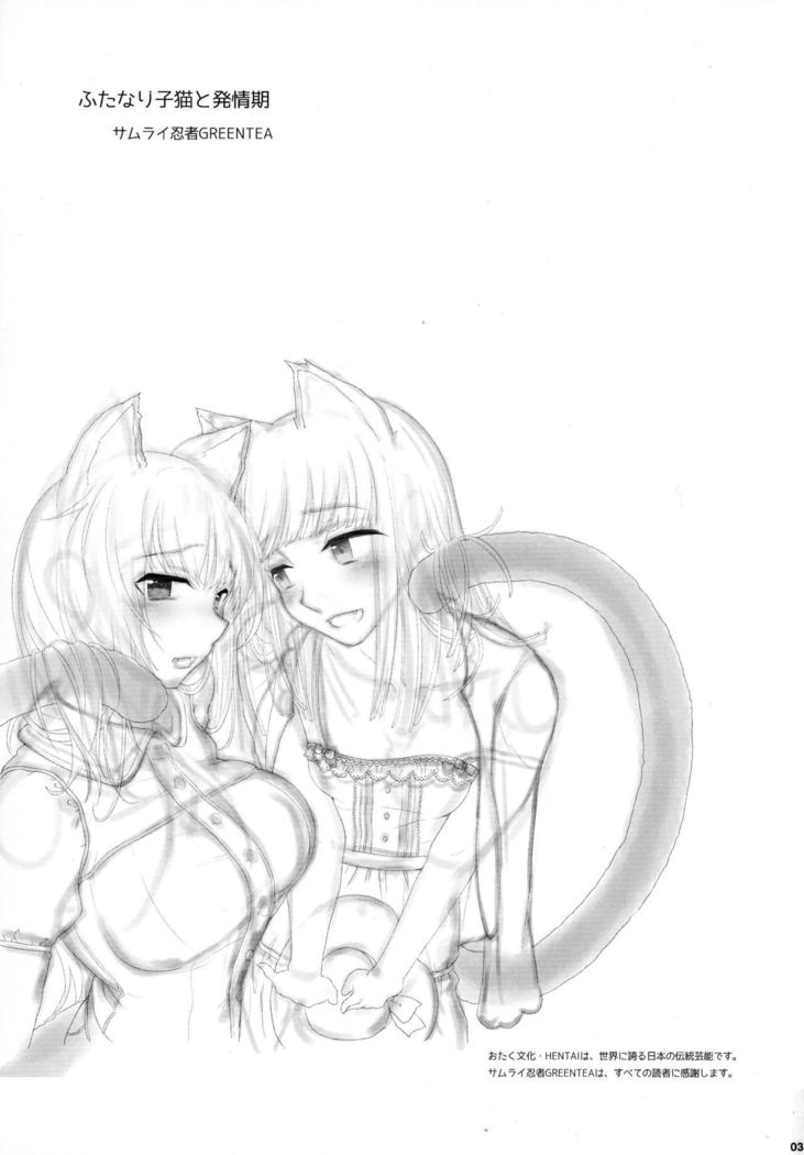 ふたなりこねこと初城木