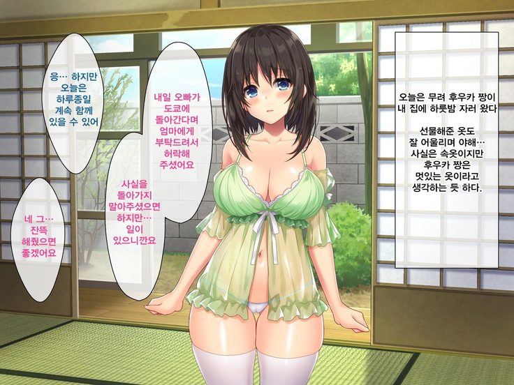 キョウニュイナカ娘とスゴスエッチななつやすみ