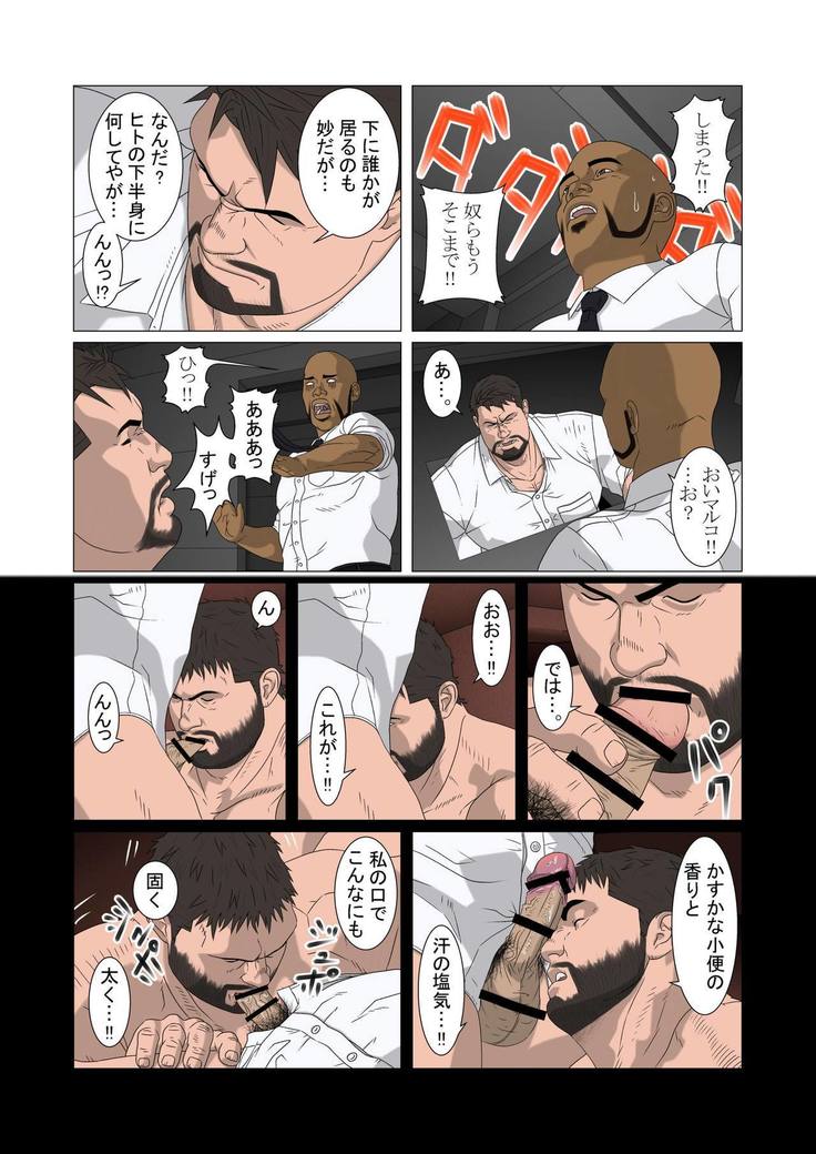 極光の道