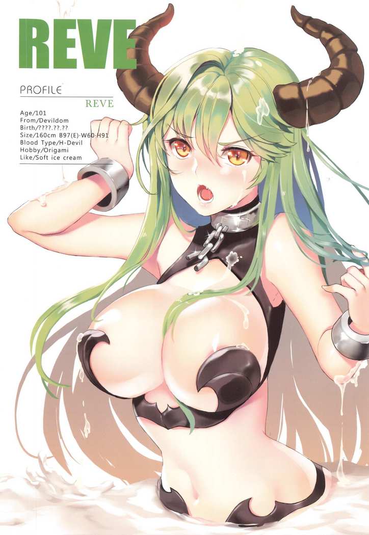 ガールズラバーシリーズBIGBUST Vol.1