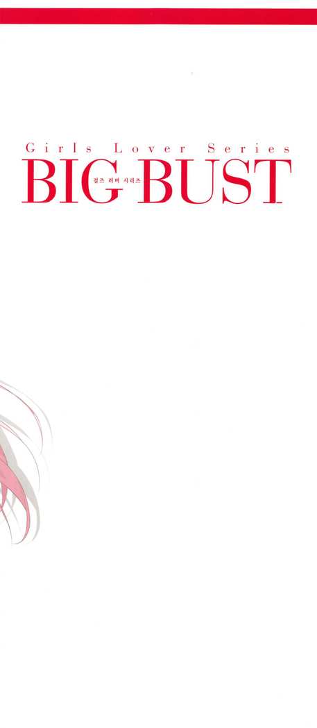 ガールズラバーシリーズBIGBUST Vol.1