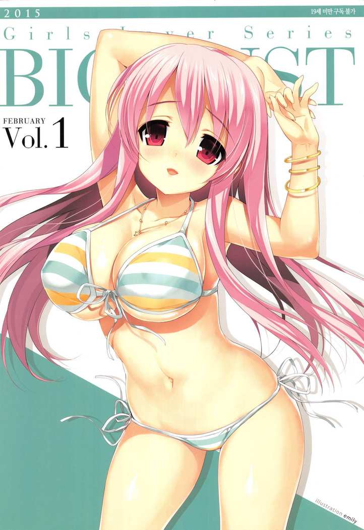 ガールズラバーシリーズBIGBUST Vol.1