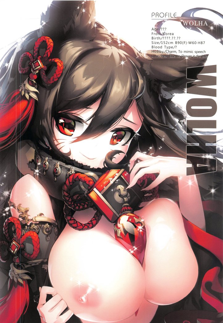 ガールズラバーシリーズBIGBUST Vol.1