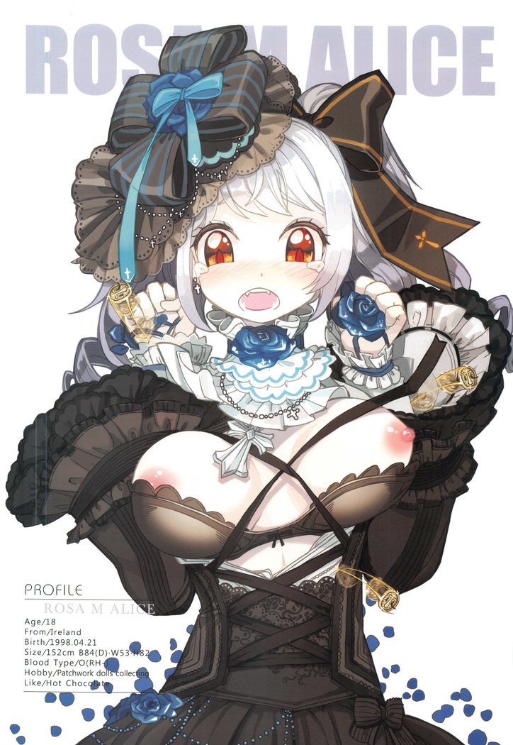 ガールズラバーシリーズBIGBUST Vol.1