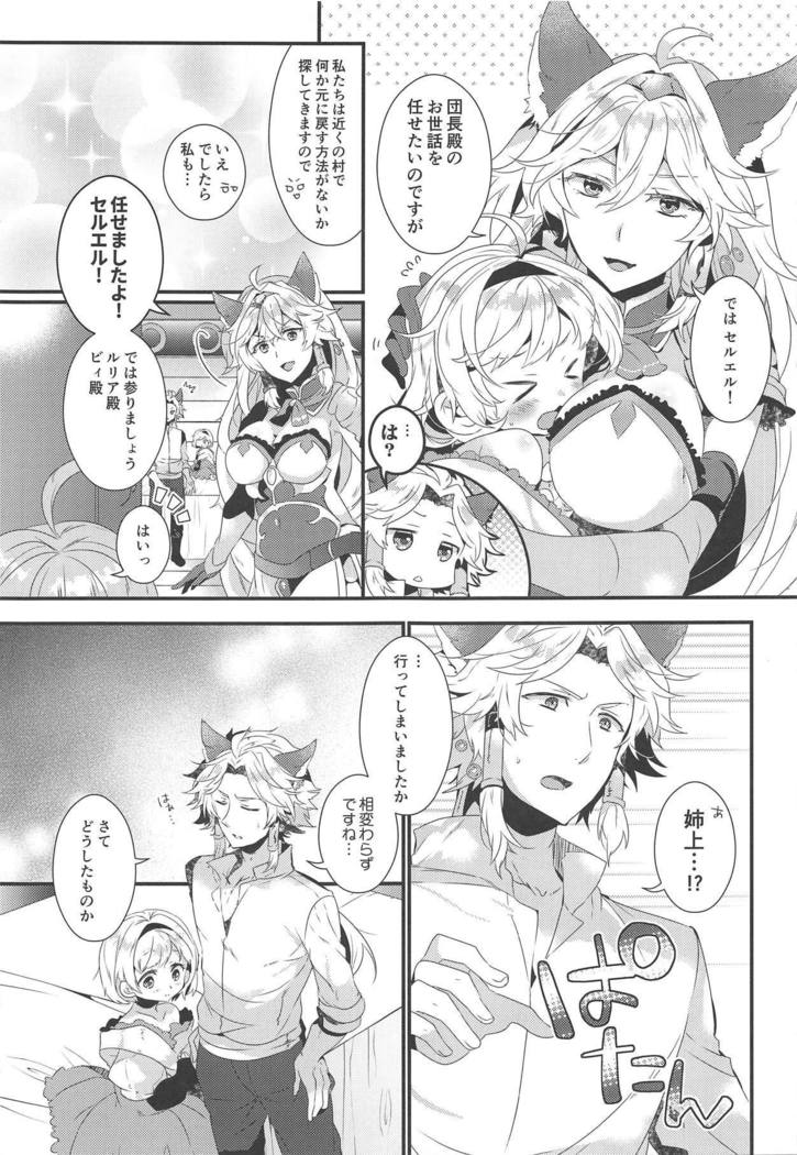 ダンチョウさんからイレスティルへ！