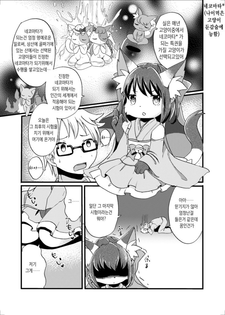猫又の玉城ちゃん