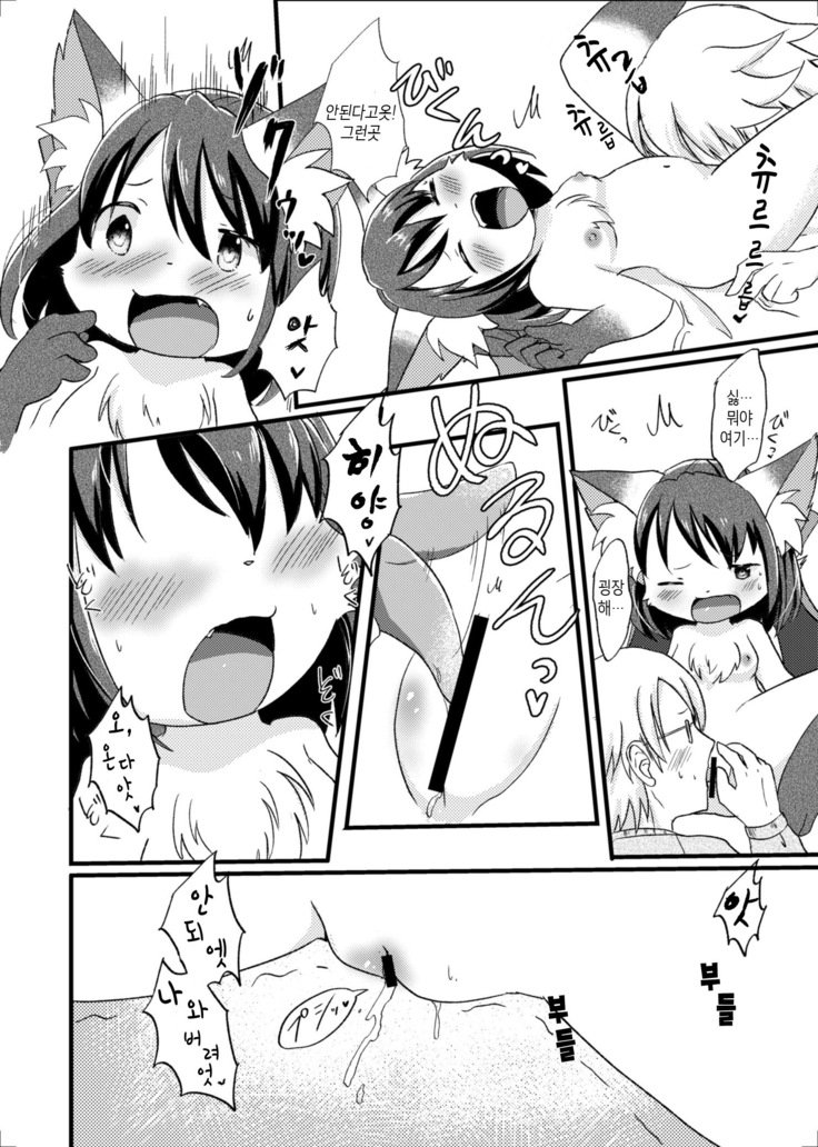 猫又の玉城ちゃん