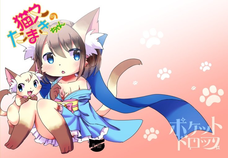 猫又の玉城ちゃん