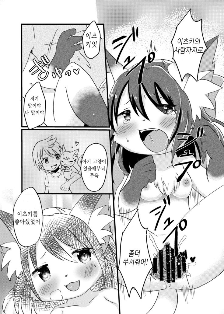 猫又の玉城ちゃん