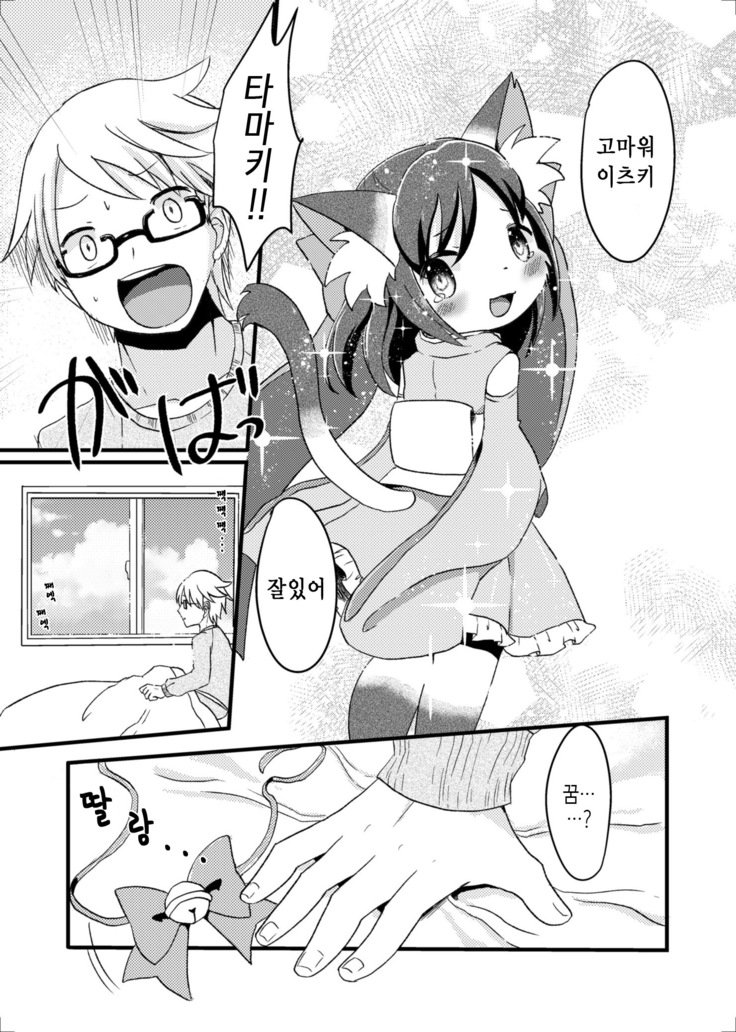 猫又の玉城ちゃん