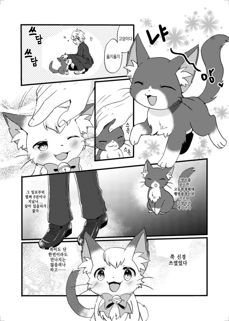 猫又の玉城ちゃん
