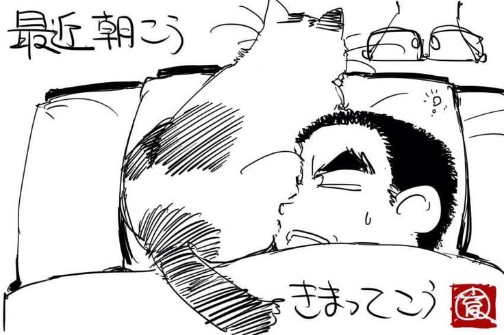 Twitter-山下いくと_170803 Twitter-山下いくと_170803