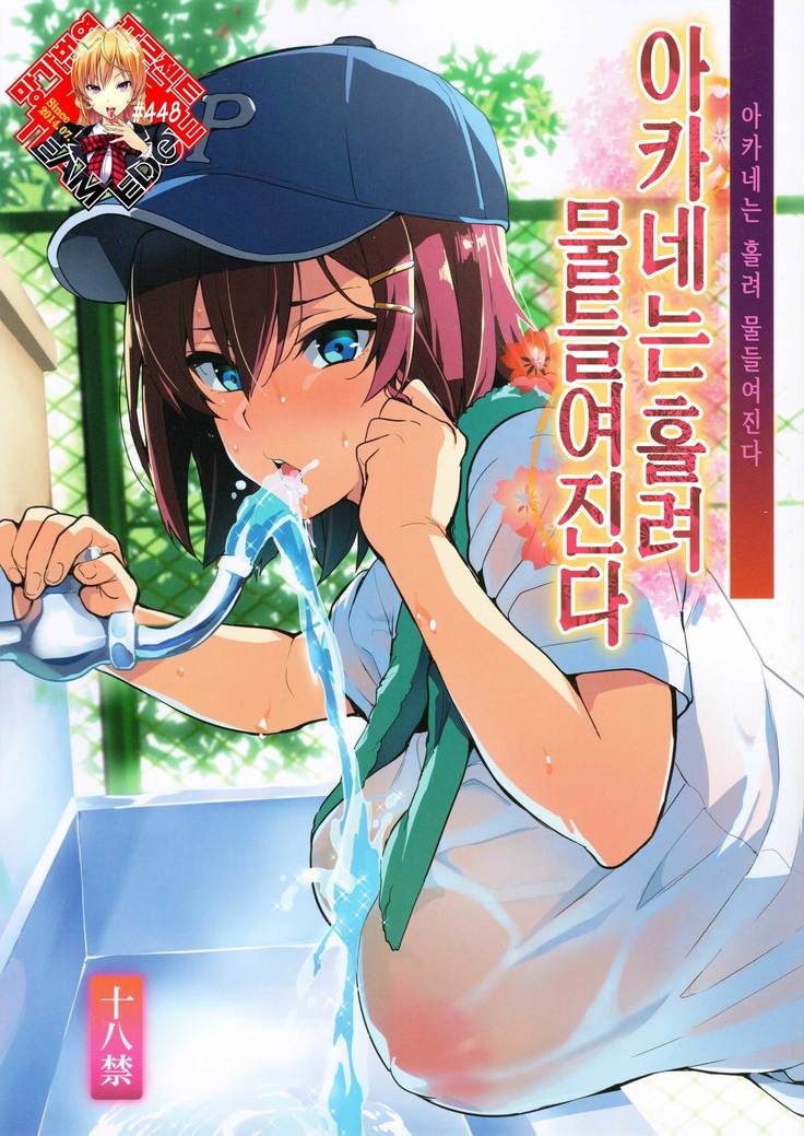 あかねはつまれ染られる+ C94らくがき帳 あかねはつまれ染られる+ C94らくがき帳