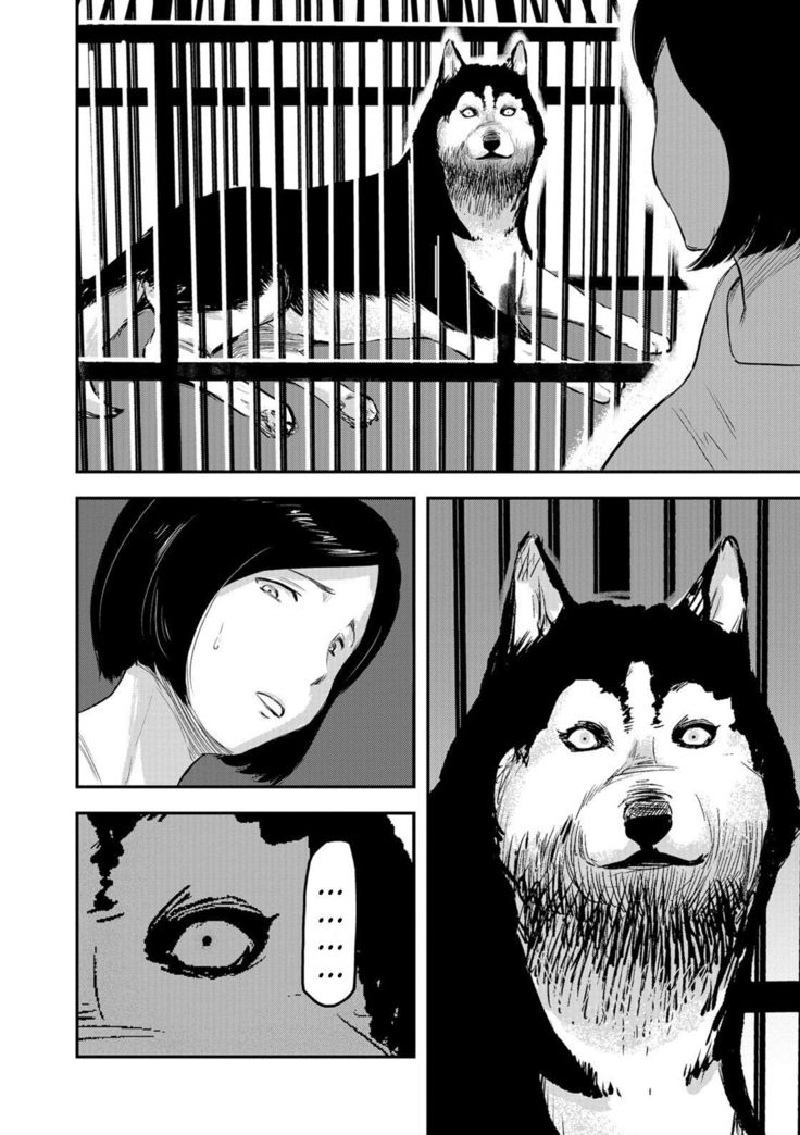 ツマガイヌニカワルトキ|妻が犬に変わったとき