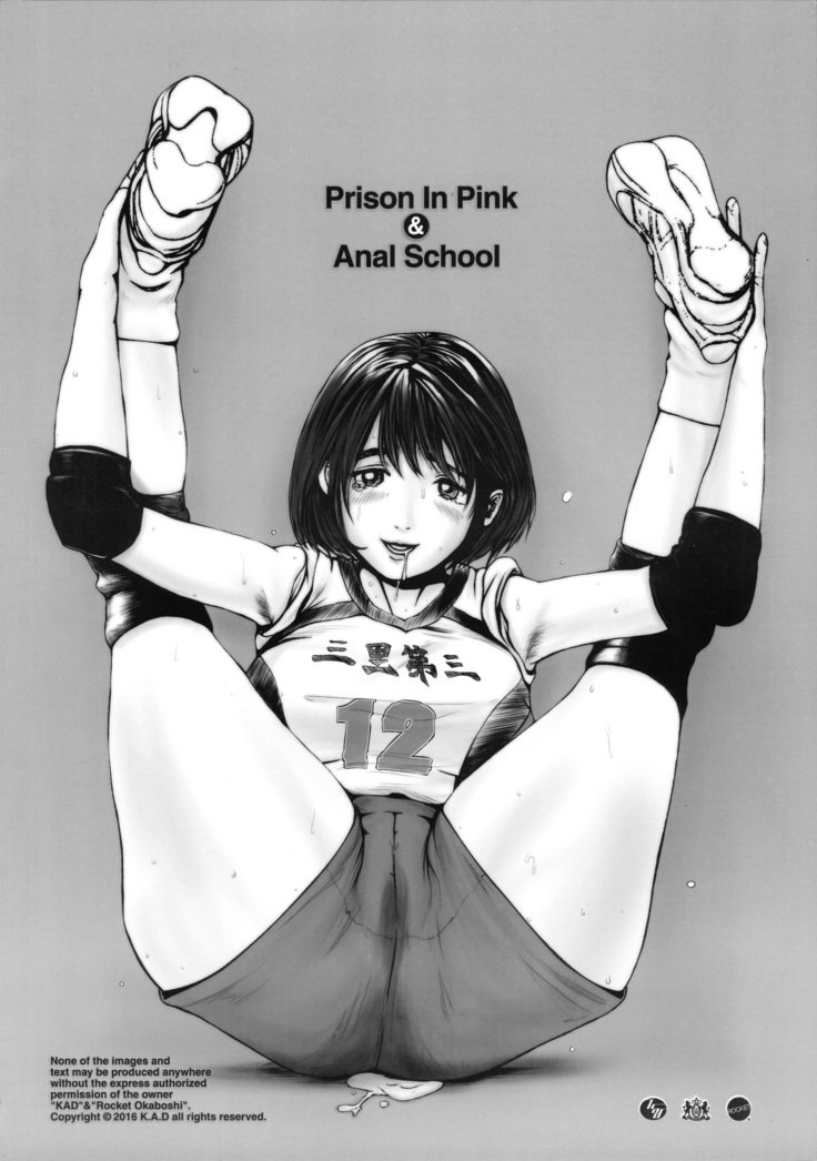 ピンクの刑務所＆アナルスクール