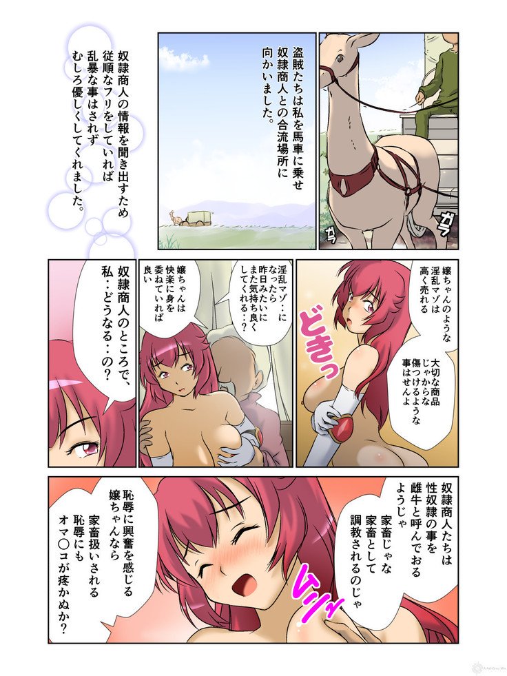 きょうゆおんなきし様まてょうきょうばしゃの足袋
