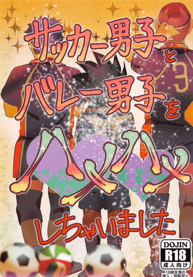 サッカーだんしからボレーだんしおはめはめしちゃいますた