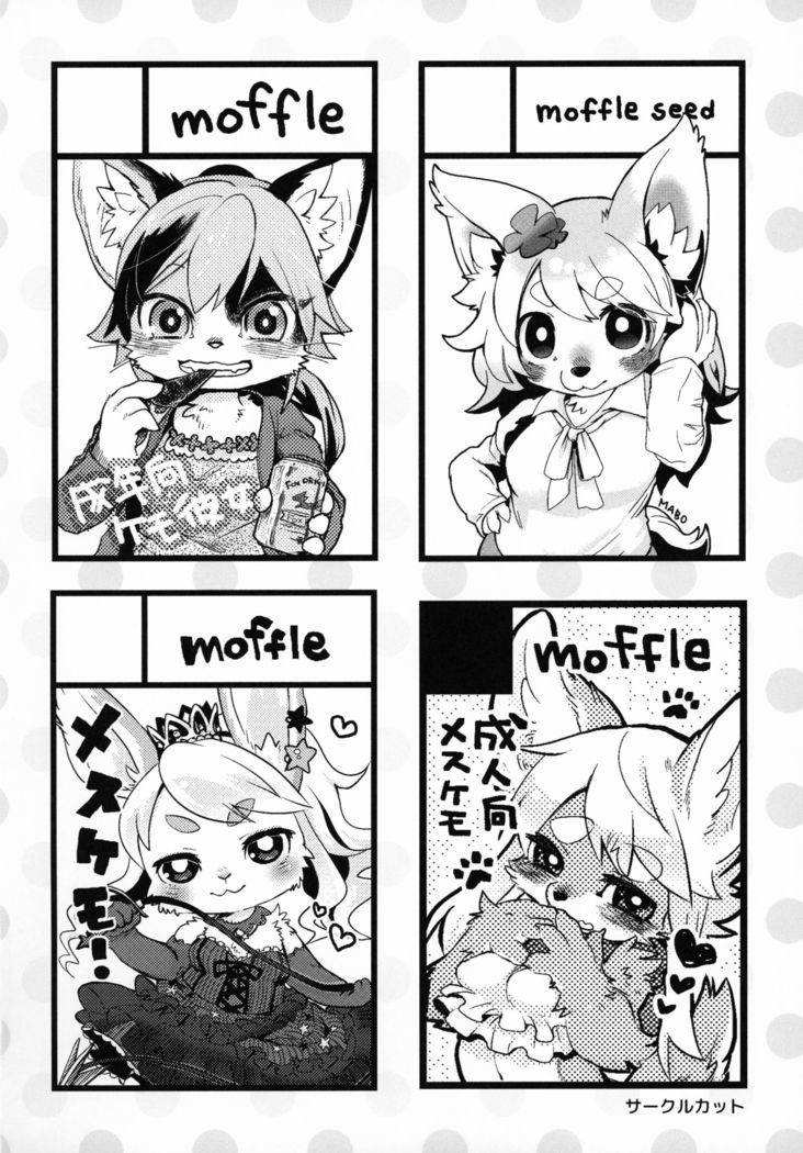 mof mo full！