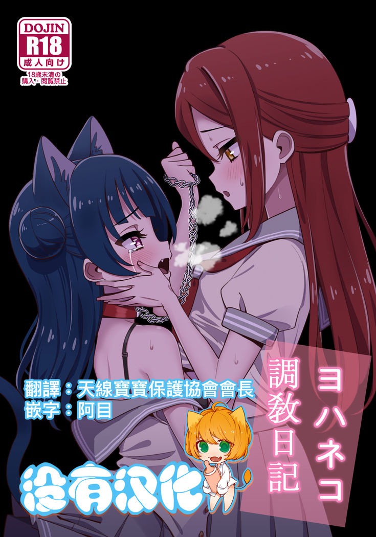 よはねこちょうきょう日記|よはねこ研修日記 よはねこちょうきょう日記|よはねこ研修日記