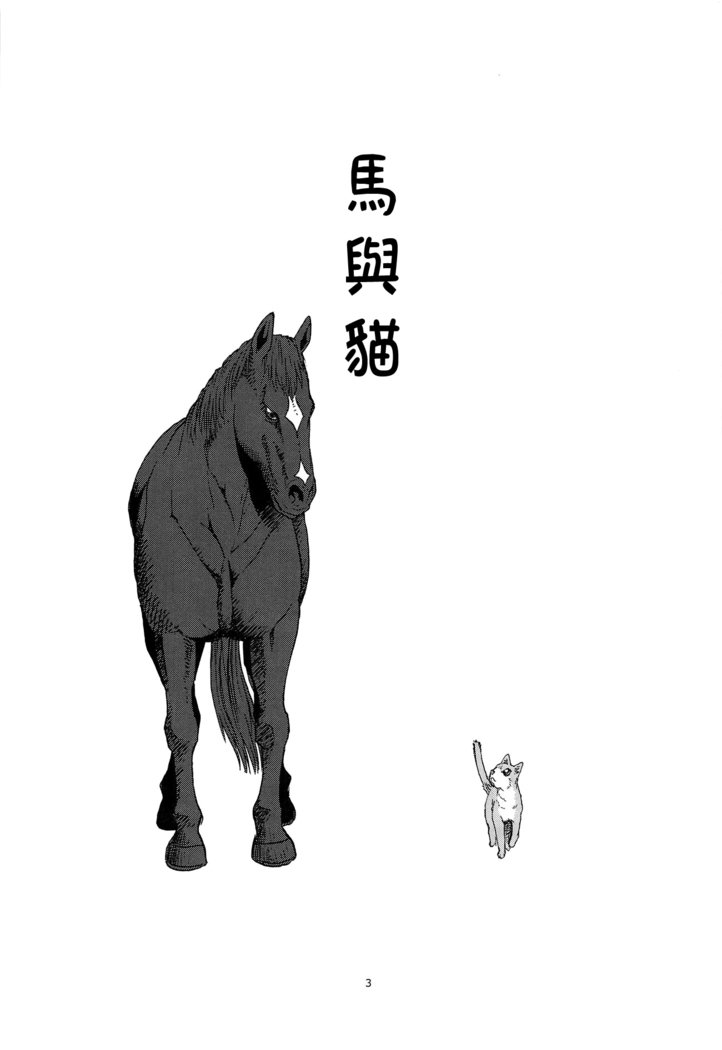 うまとねこ|馬與貓